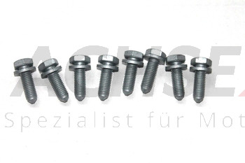 VW Audi Seat Skoda 8 - Stück Sechskantschraube Bremsträger M10x32 N 90758902