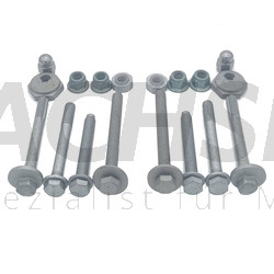 Audi A6 S6 RS6 C6 4F Schrauben Schraubenset für Federlenker Querlenker hinten NEU